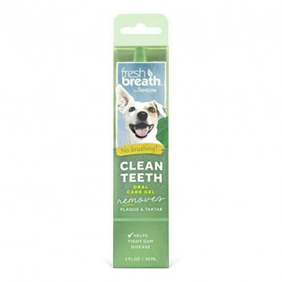 Fresh Breath Mint Foam 4.5 Oz.